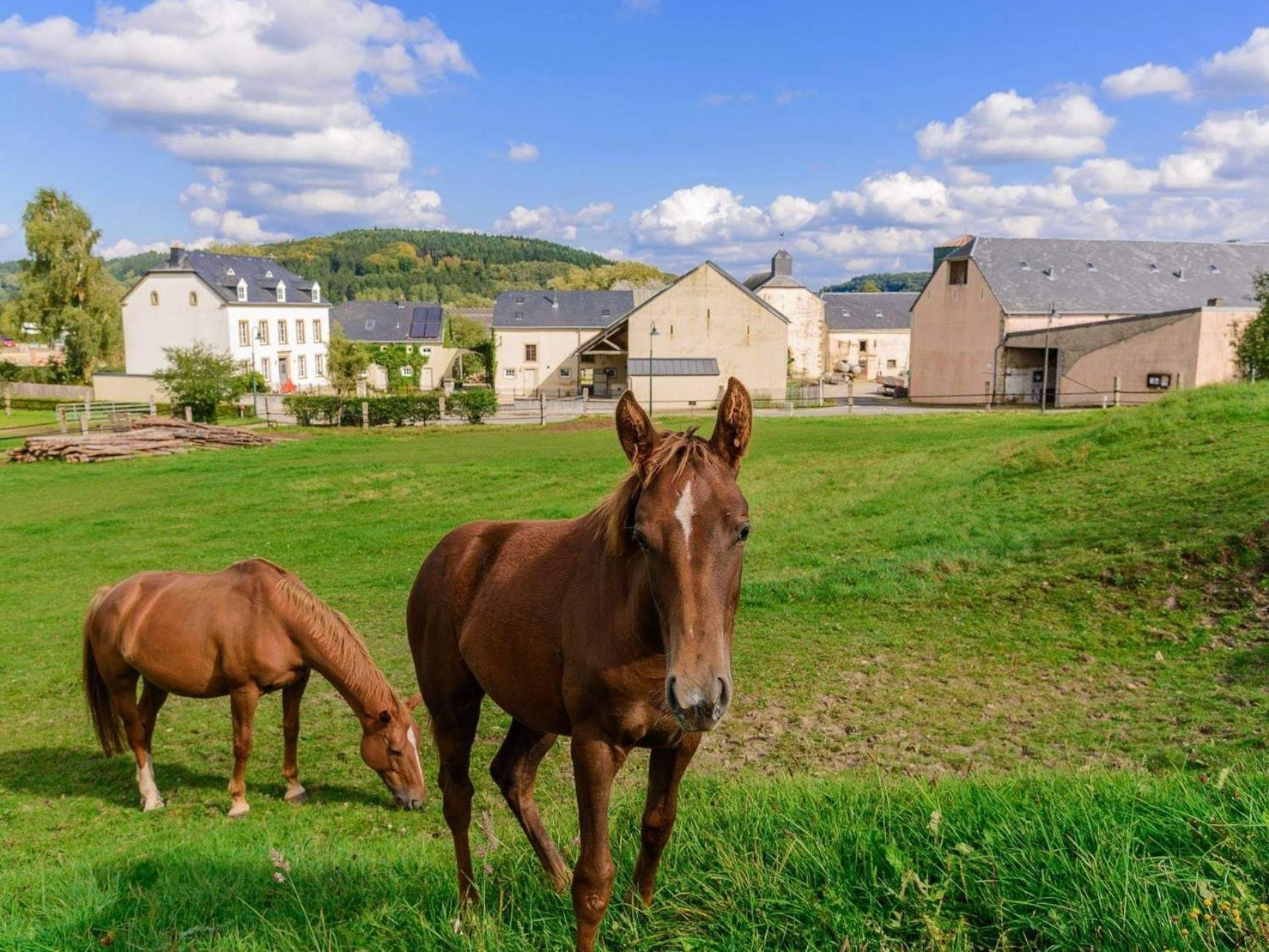 Cottage House Weyer - Mare&Filly Room Eksteriør bilde